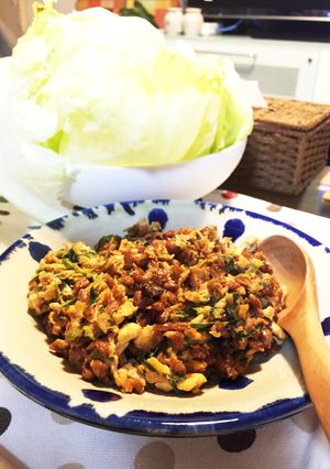 3月のライオン！復元！甘辛ひき肉そぼろ-レシピのメイン写真