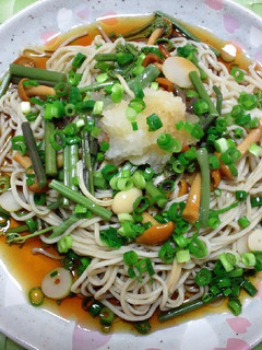 簡単ぶっかけ山菜おろし蕎麦-レシピのメイン写真