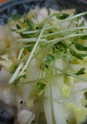 ニンニク風味がやみつき！白菜の和え物-レシピのメイン写真