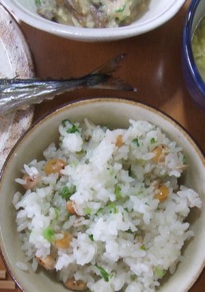 炒り大豆ご飯-レシピのメイン写真