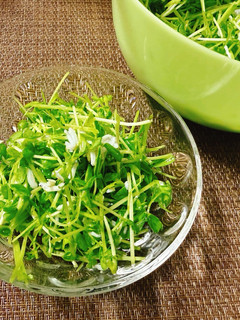 しらすと豆苗のむしゃむしゃサラダ🥗-レシピのメイン写真