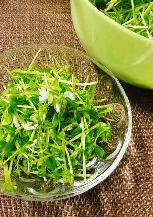 しらすと豆苗のむしゃむしゃサラダ🥗-レシピのメイン写真