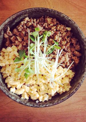 手抜き 2色そぼろ丼-レシピのメイン写真