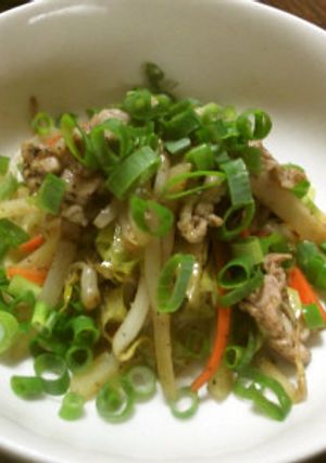豚肉で作るプルコギ-レシピのメイン写真