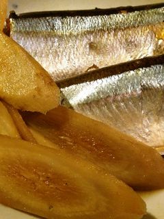 秋刀魚とごんぼのしょうが煮✿-レシピのメイン写真