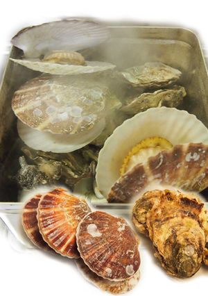牡蠣（カキ）とホタテの「ガンガン焼き」-レシピのメイン写真
