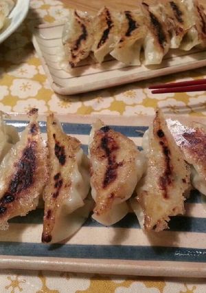 塩糀でふっくらジューシー餃子-レシピのメイン写真