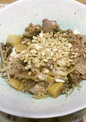 もやしと肉のサラダ-レシピのメイン写真