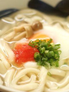 そるとまと®でうどん-レシピのメイン写真