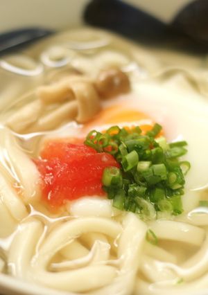 そるとまと®でうどん-レシピのメイン写真