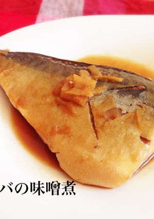 ご飯に合う!サバの味噌煮-レシピのメイン写真