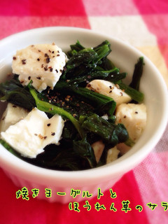 焼きヨーグルトとほうれん草のサラダ-レシピのメイン写真