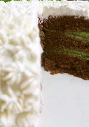 北の大地の抹茶ドームケーキ-レシピのメイン写真