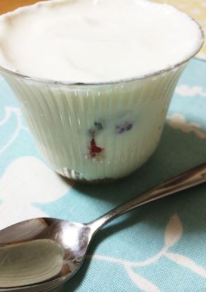 ヨーグルトレアチーズケーキ-レシピのメイン写真