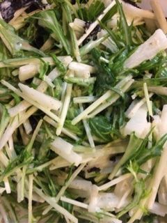 大根、水菜で冬野菜救済サラダ-レシピのメイン写真
