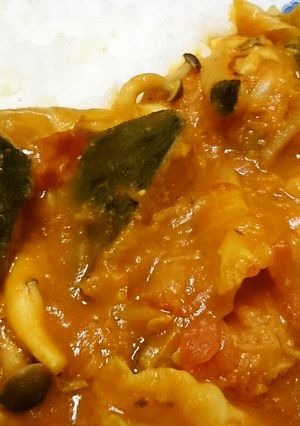 ほく旨☆かぼちゃとキャベツのトマトカレー-レシピのメイン写真