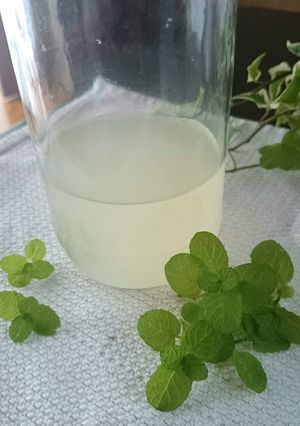 自家製酵母の作り方☆ミント★中種(元種)-レシピのメイン写真