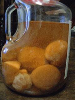 絶対美味しい!果実酒③桃酒-レシピのメイン写真
