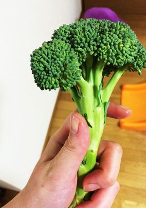茎まで食べようブロッコリー-レシピのメイン写真