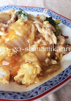中華丼-レシピのメイン写真
