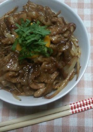 豚肉もやし丼-レシピのメイン写真