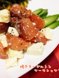 焼きヨーグルトとサーモンのサラダ-レシピのメイン写真