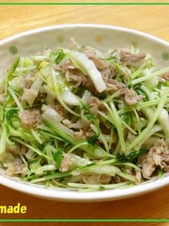 塩もみ白菜と豚肉の炒め物-レシピのメイン写真