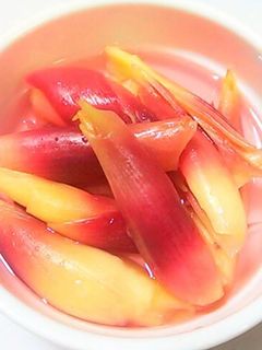 ゆず甘酢を使って~ みょうがの甘酢漬け-レシピのメイン写真