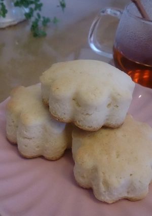 サクふわ♪クリームチーズのスコーン-レシピのメイン写真