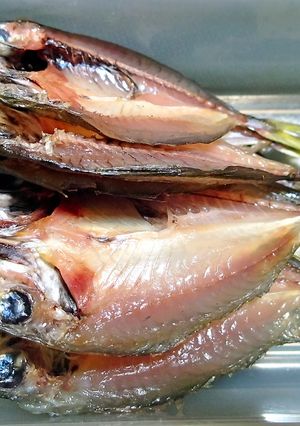 アジの干物（塩干し）-レシピのメイン写真