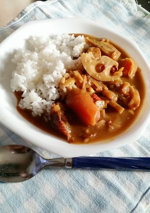 美味薬膳♪良薬口にうましカレー-レシピのメイン写真