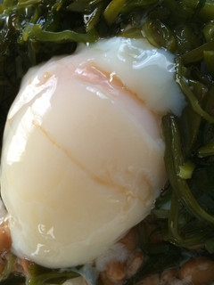 めかぶ納豆温玉のせごはん-レシピのメイン写真