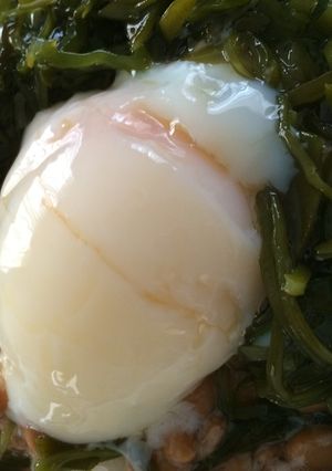 めかぶ納豆温玉のせごはん-レシピのメイン写真