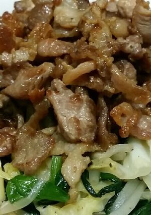 おつまみにもなる 豚肉野菜炒め♪-レシピのメイン写真