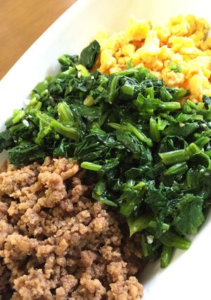 塩糀・甘糀で作る三色丼-レシピのメイン写真