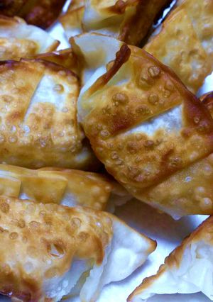 しらすとツナの揚餃子-レシピのメイン写真