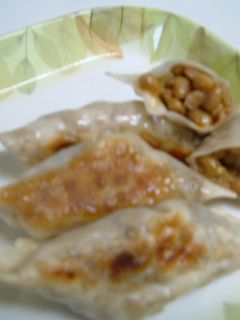 納豆と辛子高菜の餃子-レシピのメイン写真