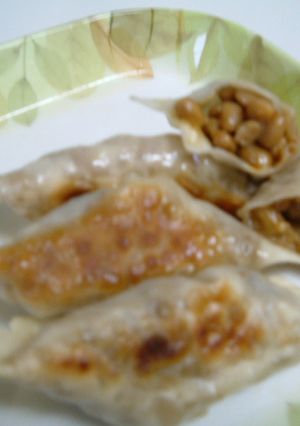 納豆と辛子高菜の餃子-レシピのメイン写真