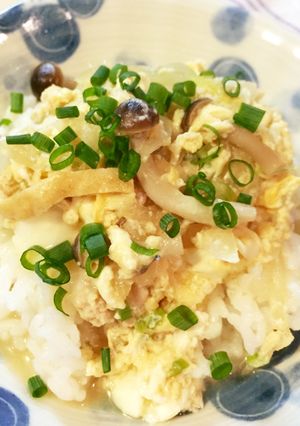 お揚げ入り鶏そぼろ玉子丼-レシピのメイン写真