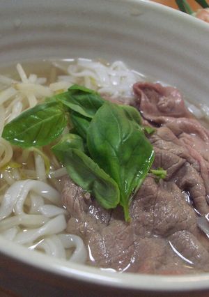 ベトナム麺 フォー・ボー・タイ-レシピのメイン写真