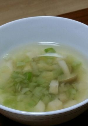 ネギたっぷり汁-レシピのメイン写真
