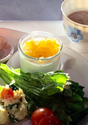 豆乳のムース-レシピのメイン写真