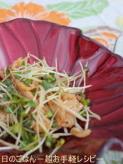 鶏チャーシューとかいわれのサラダ-レシピのメイン写真