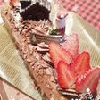 生チョコクリームのブッシュドノエル