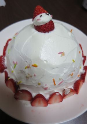 苺サンタのドームケーキ(2人分)-レシピのメイン写真