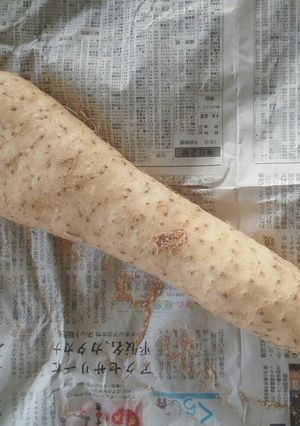 超簡単！ 山芋・長芋・大和芋の消費レシピ-レシピのメイン写真