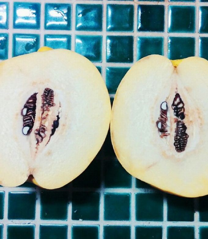 花梨ジャム by 華名衛門 【クックパッド】 簡単おいしいみんなのレシピ