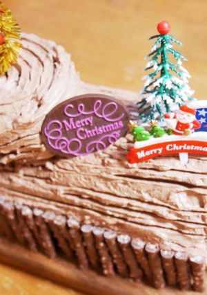 チョコロールケーキ（ブッシュドノエル）-レシピのメイン写真