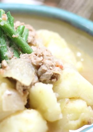 そるとまと®で肉じゃが-レシピのメイン写真