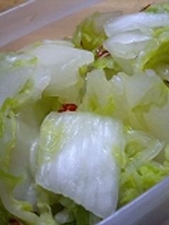 白菜の浅漬け-レシピのメイン写真